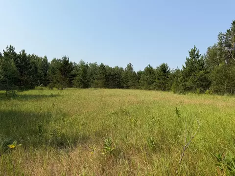 tbd Co Rd 7, Staples, MN 56479 photo 42