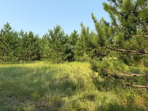 tbd Co Rd 7, Staples, MN 56479 photo 49