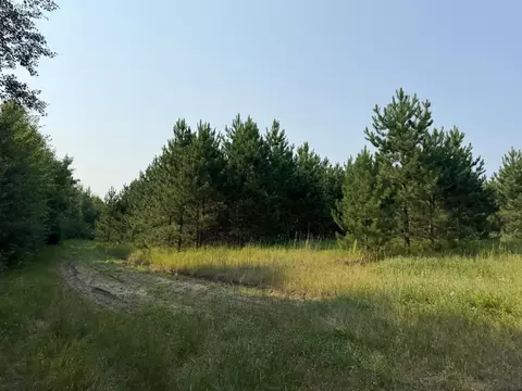 tbd Co Rd 7, Staples, MN 56479 photo 45