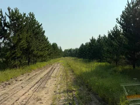 tbd Co Rd 7, Staples, MN 56479 photo 29