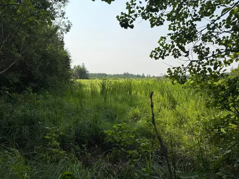 tbd Co Rd 7, Staples, MN 56479 photo 43