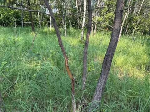 tbd Co Rd 7, Staples, MN 56479 photo 66