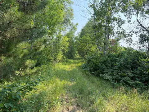 tbd Co Rd 7, Staples, MN 56479 photo 35