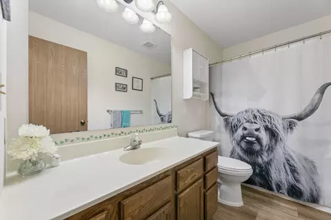 430 9th St E, Hector, MN 55342 photo 17