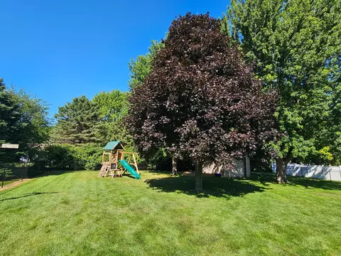 Exterior - 430 9th St E, Hector, MN 55342 photo 7 of 13