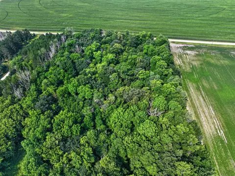 tbd Johnson Rd NE, Nelson, MN 56355 photo 4