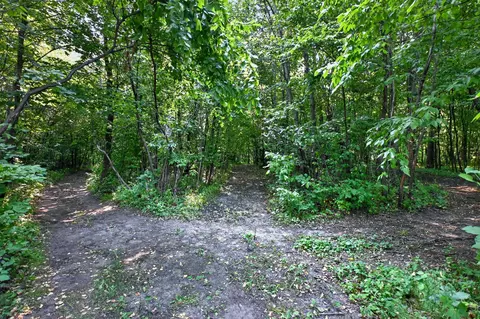 tbd Johnson Rd NE, Nelson, MN 56355 photo 12