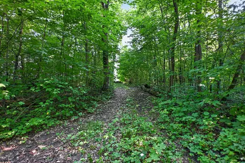 tbd Johnson Rd NE, Nelson, MN 56355 photo 15