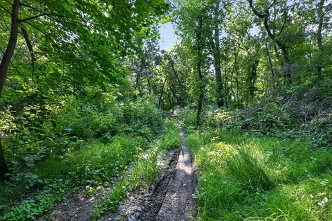 tbd Johnson Rd NE, Nelson, MN 56355 photo 17