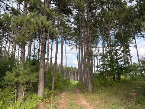 tbd Tulip St NW, Stanchfield, MN 55080