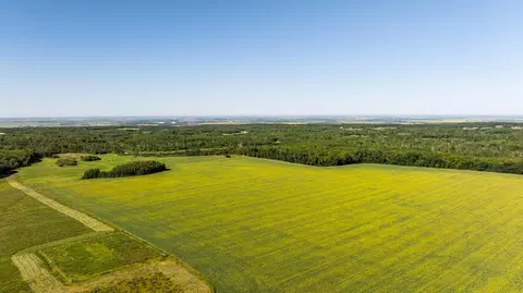 tbd Lake Rd, Bottineau, ND 58318