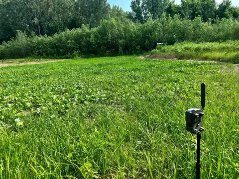 tbd Grove St, Le Sueur, MN 56058