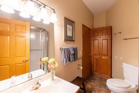 Bath - 13698 Maple Rd, Mapleton, MN 56065 photo 1 of 6