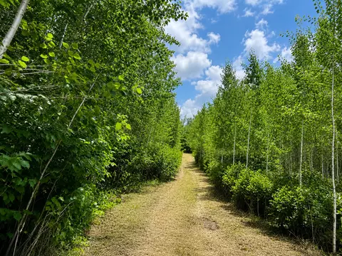 tbd Chimney Rd, Nevis, MN 56467 photo 6