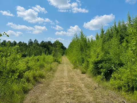 tbd Chimney Rd, Nevis, MN 56467 photo 4