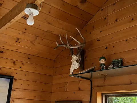 tbd Chimney Rd, Nevis, MN 56467 photo 11