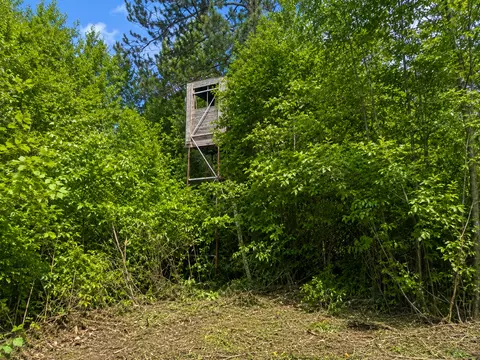 tbd Chimney Rd, Nevis, MN 56467 photo 9