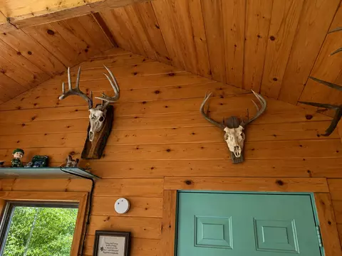 tbd Chimney Rd, Nevis, MN 56467 photo 12
