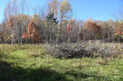 27727 Oberon Loop, Browerville, MN 56438 photo 6