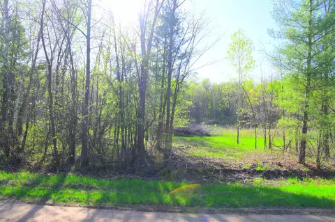 27727 Oberon Loop, Browerville, MN 56438 photo 22