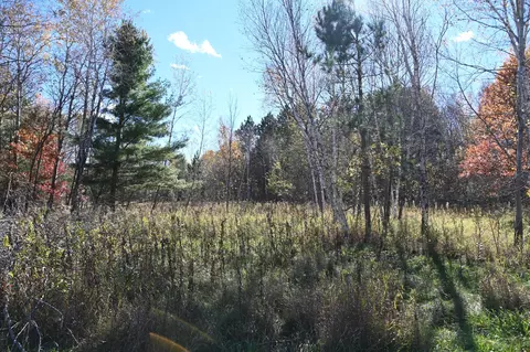 27727 Oberon Loop, Browerville, MN 56438 photo 9