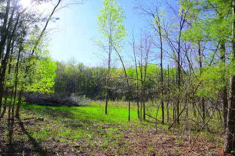 27727 Oberon Loop, Browerville, MN 56438 photo 25