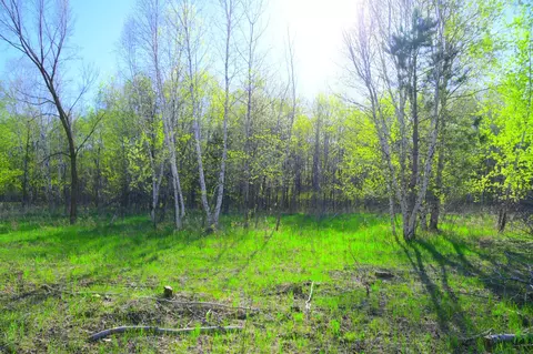 27727 Oberon Loop, Browerville, MN 56438 photo 28