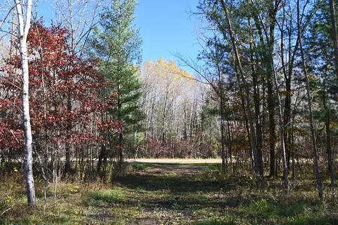 27727 Oberon Loop, Browerville, MN 56438 photo 13