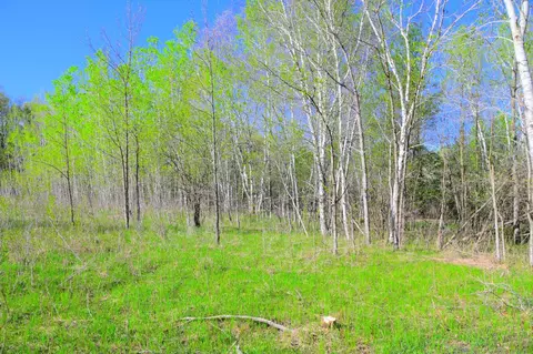 27727 Oberon Loop, Browerville, MN 56438 photo 32