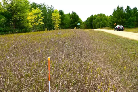 tbd Oak Dr, Browerville, MN 56438 photo 8