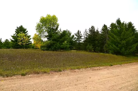 tbd Oak Dr, Browerville, MN 56438 photo 4