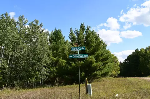 tbd Oak Dr, Browerville, MN 56438 photo 16