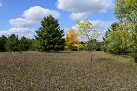 tbd Oak Dr, Browerville, MN 56438 photo 9