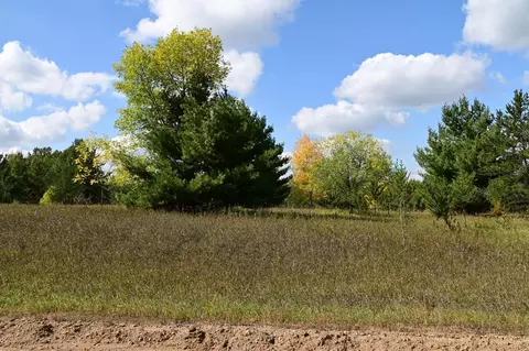 tbd Oak Dr, Browerville, MN 56438 photo 7
