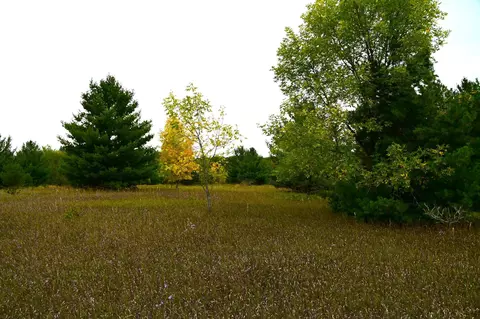 tbd Oak Dr, Browerville, MN 56438 photo 5