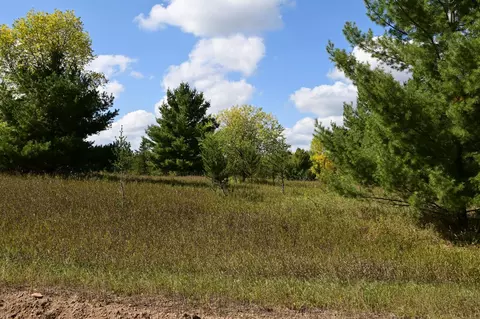 tbd Oak Dr, Browerville, MN 56438 photo 6
