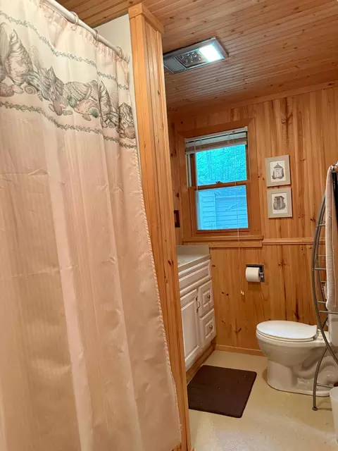 Bath - 41622 Turtle Lake View Trl, Bigfork, MN 56628 photo 1 of 3