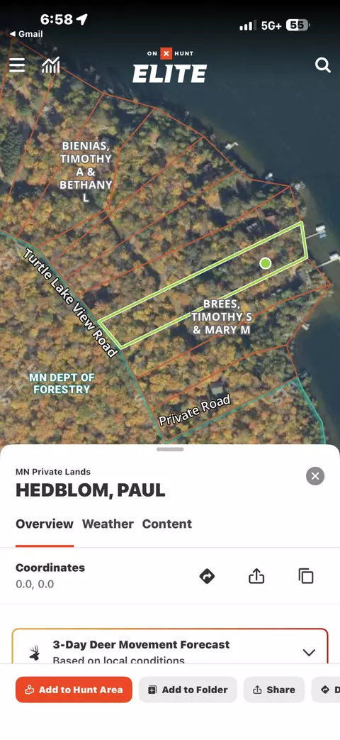 Other - 41622 Turtle Lake View Trl, Bigfork, MN 56628 photo 3 of 14