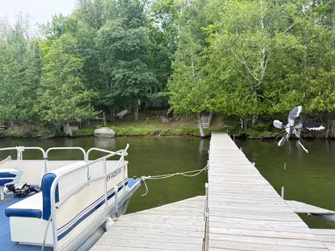 Other - 41622 Turtle Lake View Trl, Bigfork, MN 56628 photo 2 of 14