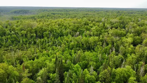 15512 Highway 27, Sturgeon Lake, MN 55783 photo 39