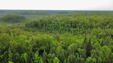 15512 Highway 27, Sturgeon Lake, MN 55783 photo 35