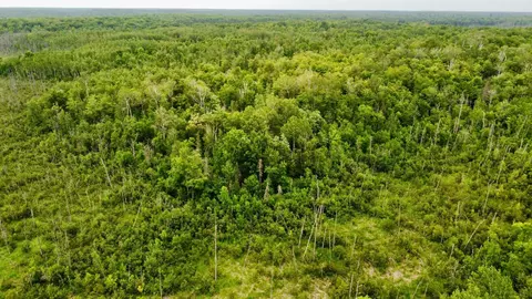 15512 Highway 27, Sturgeon Lake, MN 55783 photo 32