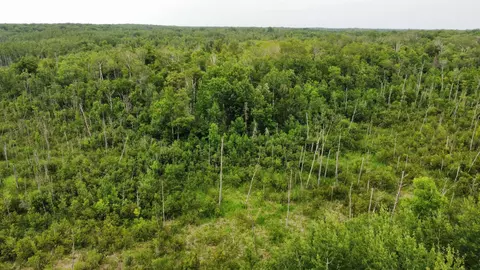 15512 Highway 27, Sturgeon Lake, MN 55783 photo 28