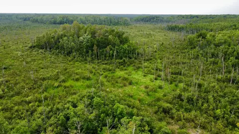 15512 Highway 27, Sturgeon Lake, MN 55783 photo 29