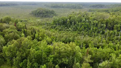 15512 Highway 27, Sturgeon Lake, MN 55783 photo 42