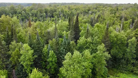 15512 Highway 27, Sturgeon Lake, MN 55783 photo 44