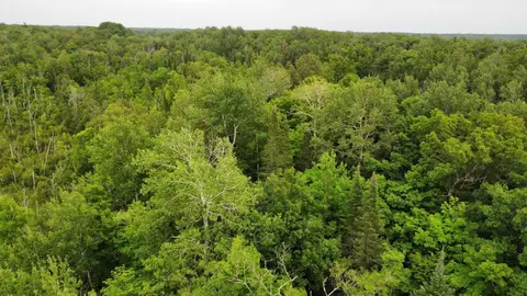 15512 Highway 27, Sturgeon Lake, MN 55783 photo 26