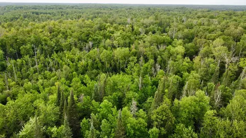 15512 Highway 27, Sturgeon Lake, MN 55783 photo 43