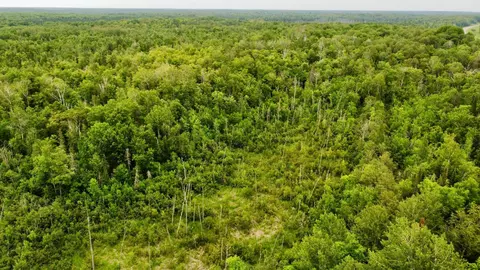 15512 Highway 27, Sturgeon Lake, MN 55783 photo 34
