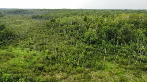 15512 Highway 27, Sturgeon Lake, MN 55783 photo 30